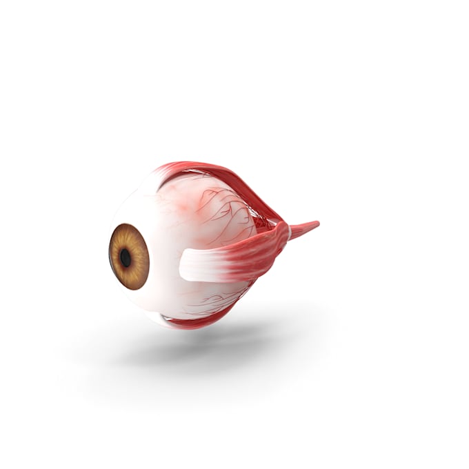 create a 3d eyeball