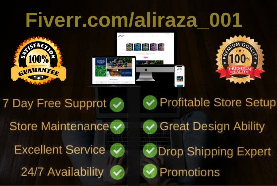 create a stunning shopify store for maximum conversion