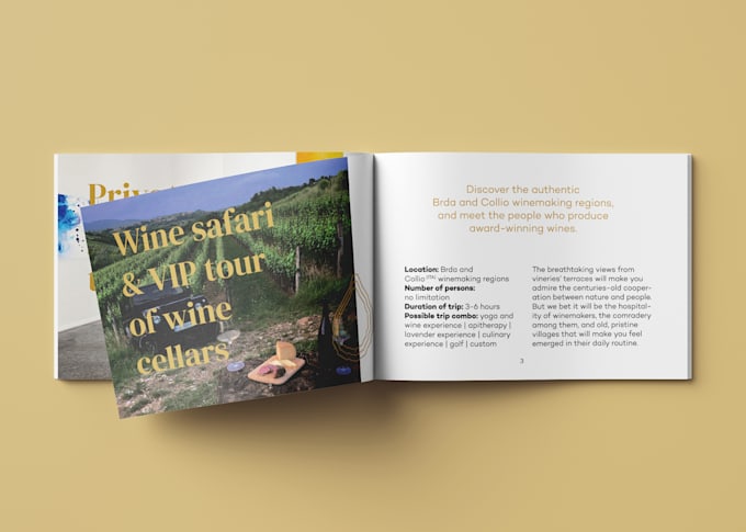 design a high quality corporate or promotional brochure
