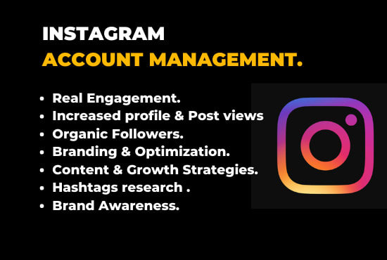 do your instagram growth and management organically