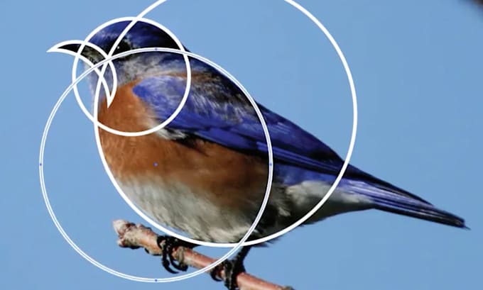 design a professional business logo
