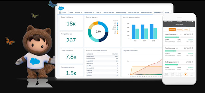 do admin, development and integration stuff for your salesforce org