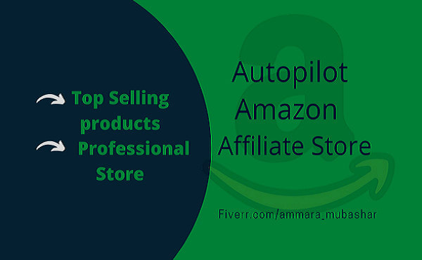 build autopilot amazon affiliate store