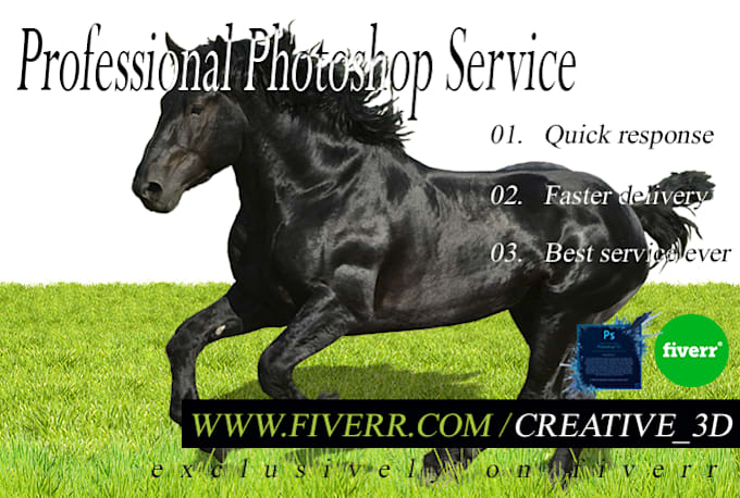 do any Graphics work