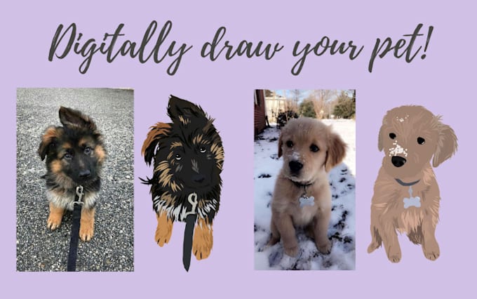 digitally draw your pet