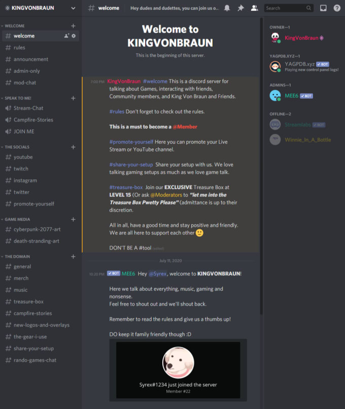 Build your discord server for you by Ninjaphotonyc Fiverr