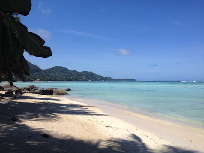 do whatever you want from seychelles exotic tropical islands