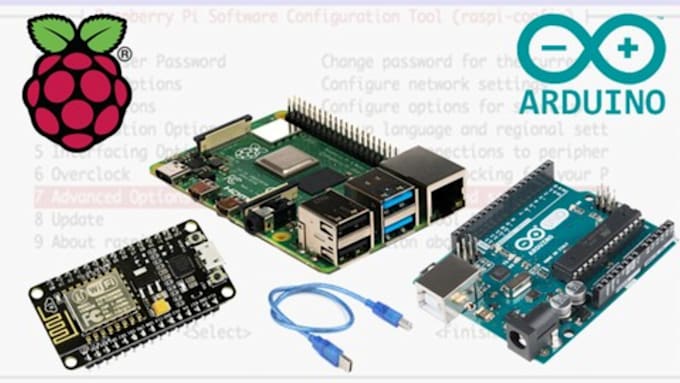 Help you with raspberry pi and arduino projects by Ignalbertsh | Fiverr