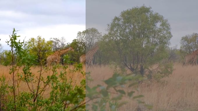 do professional video editing, color correction and color grading