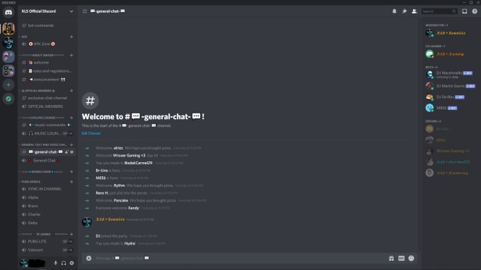 Create epic discord server for you by Zeuxismonleon | Fiverr