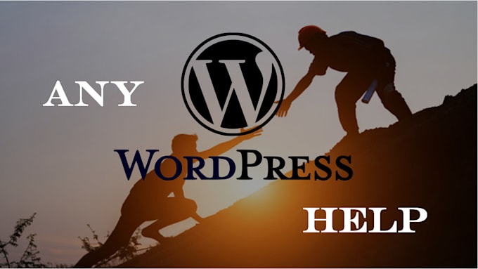 fix any wordpress related issue within 24hours