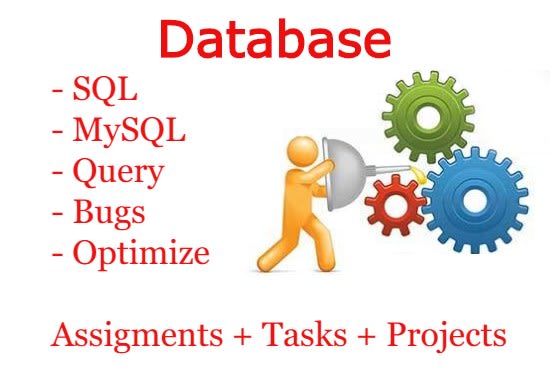 do your database related assignments,tasks and projects
