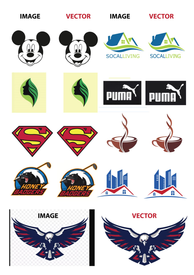 do vector tracing, recreate, redraw, edit, manipulation