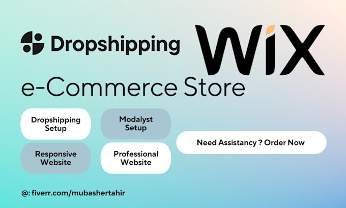 professionally design or re touch a dropshipping wix website store with modalyst