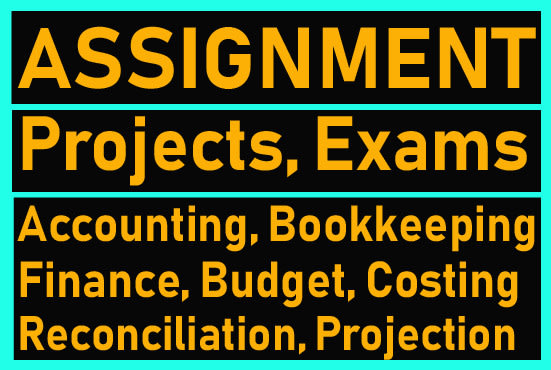 do accounting, finance and ms office assignment, project