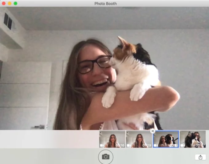 write your SEO pet animal care cat dog training blog posts
