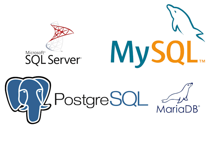 Create a database from scratch by Luisdurn249 | Fiverr