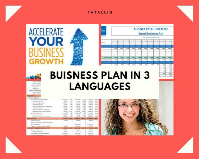 provide profitable business plan marketing plan in 3 laguages