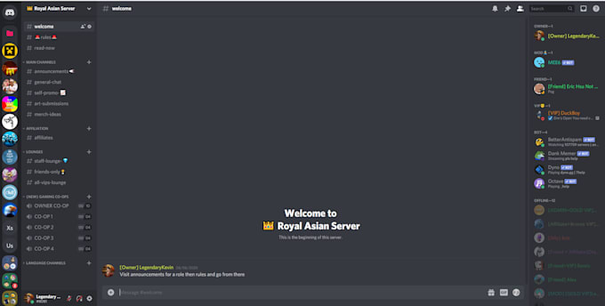 Create a custom discord server for you by Legendarykevin | Fiverr