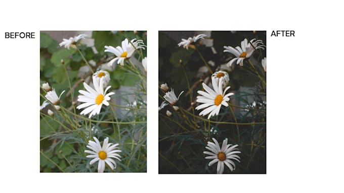 do photo editing in lightroom