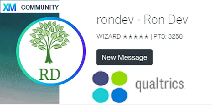 do online survey building in qualtrics and create auto single reports pdf