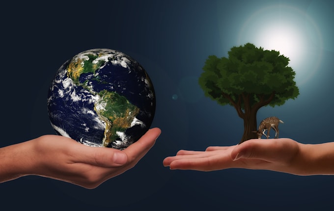 write on environmental engineering and sustainability