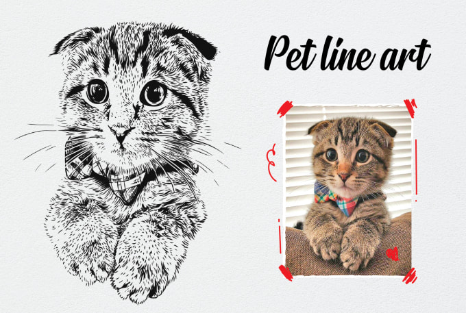Draw your pet in a detailed vector line art style by Esa_fadiat | Fiverr