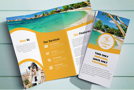 do professional tri fold brochure, flyer, catalog design