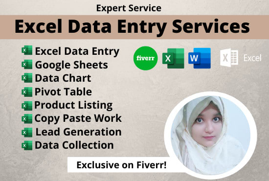 do fastest excel data entry and web research
