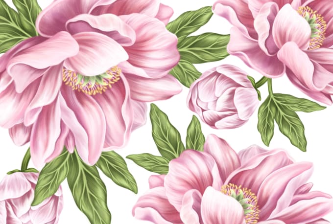 Draw botanical illustrations of flowers, plants, line art by Alexirina ...