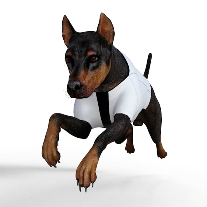 make clothes virtual pets such daz dog eight