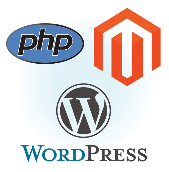 do websites development and customization