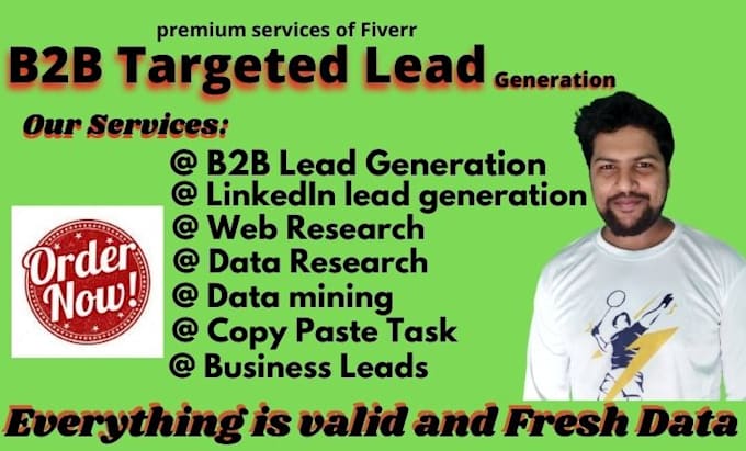 do b2b lead generation, copy paste, and VA for data entry