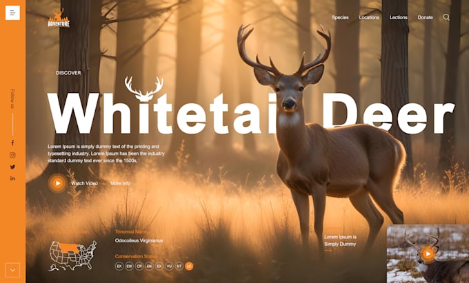 do figma website design, website mockup design wordpress website page design