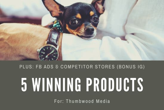 do shopify winning products research for dropshipping