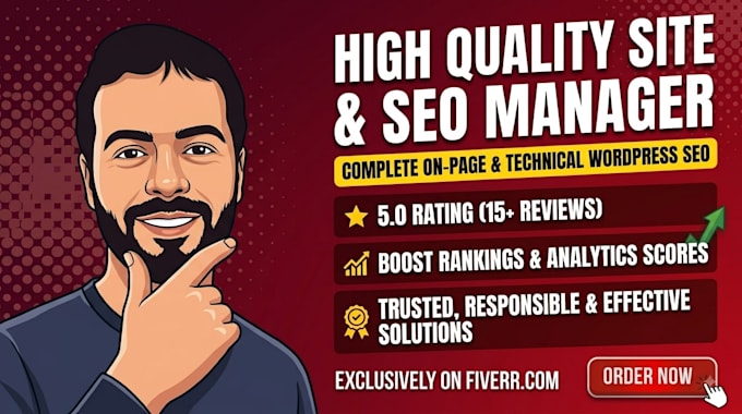 optimize and improve your SEO wordpress website