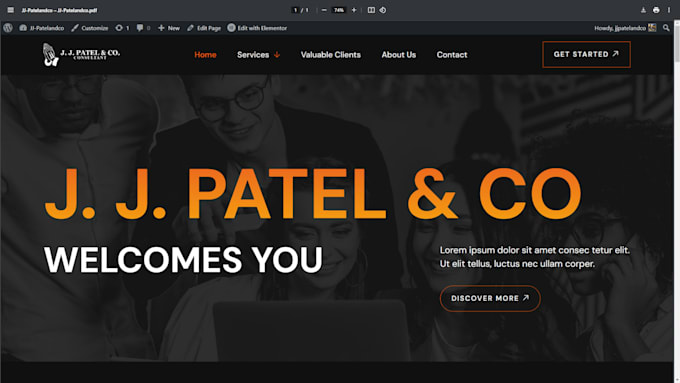 expert of wordpress developement