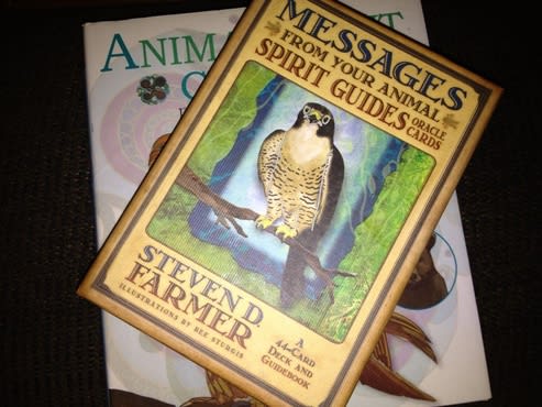 Nuggun Give advice conversation with no judgment tarot by Stonedsun22 | Fiverr