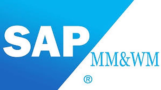Provide configurations support for sap wm and sap mm by Prathyushaalav