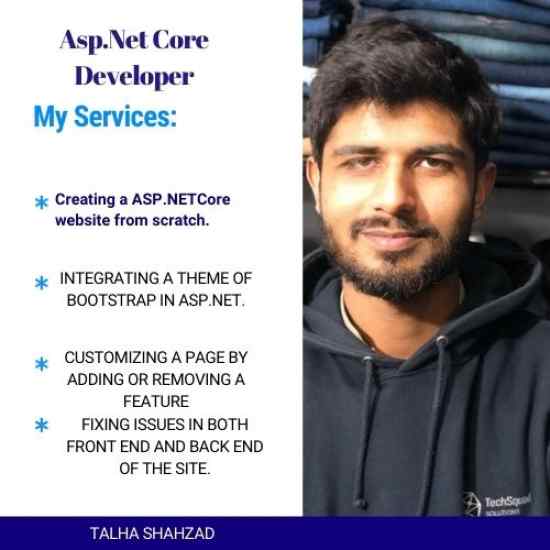 develop asp net core mvc or web API applications
