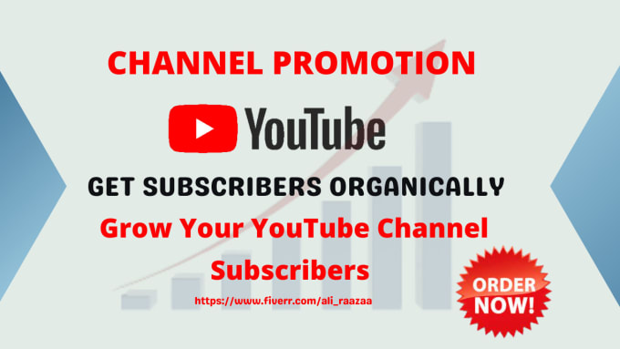 Do organic  channel promotion to target audience by Ali_raazaa
