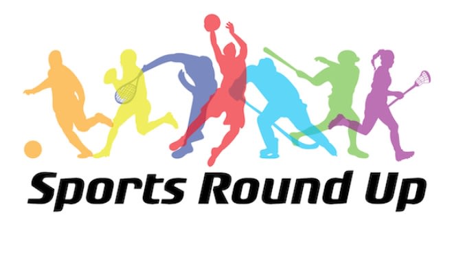 write sports and game articles and blog for you