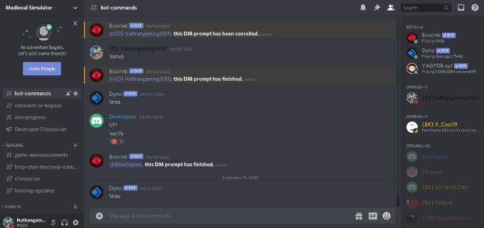 Create An Amazing Custom Discord Just For You By Nathan Aqautik Fiverr - roblox developer discord