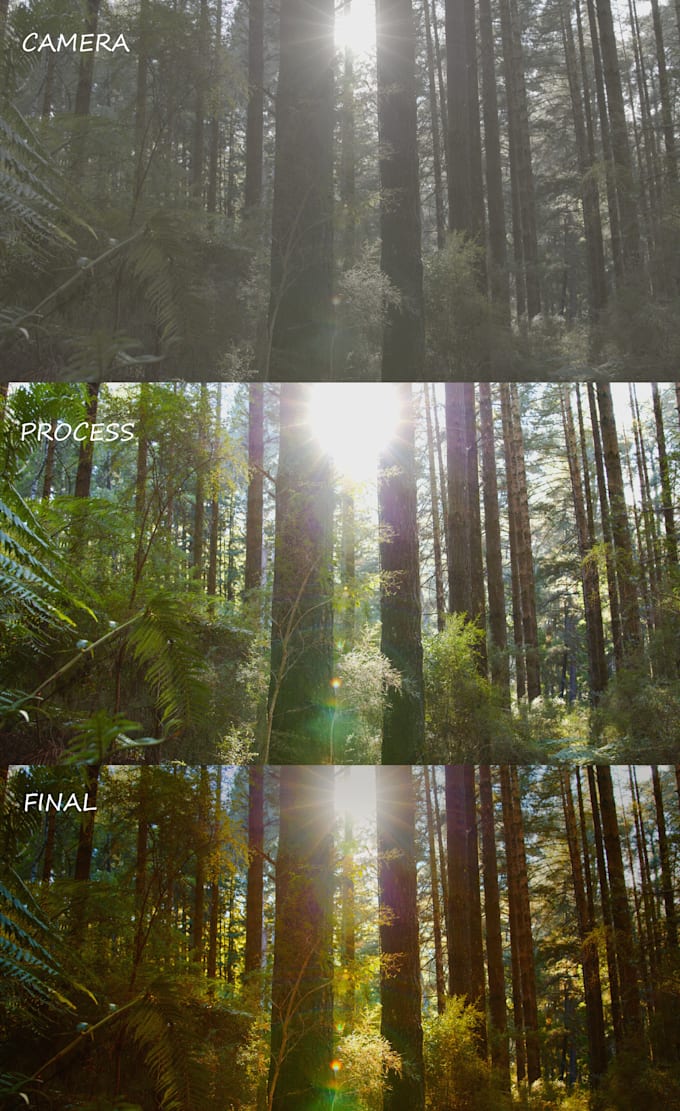 do professional color grading in davinci resolve
