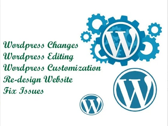 give wordpress help to make changes, edits or redesign site