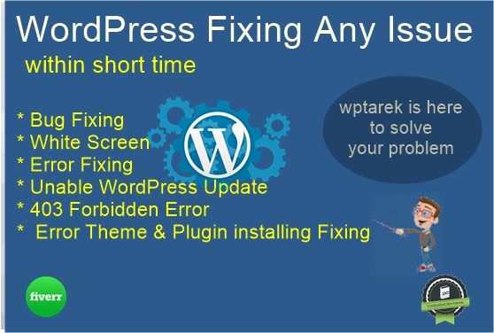 fix wordpress any bugs, error in short time