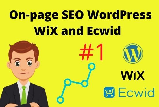 Do on page seo wordpress wix and ecwid store by Eeterafiq | Fiverr