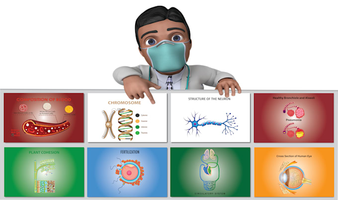 design scientific figures, diagrams, and illustrations