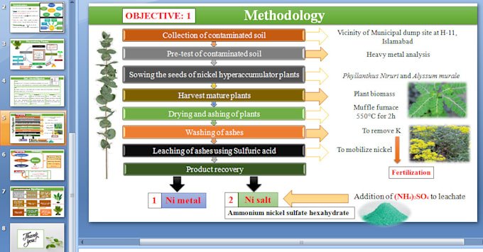 design ppt presentation and ppt slides with the infographic