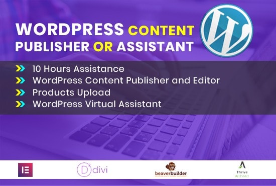 be your wordpress content publisher or wordpress assistant